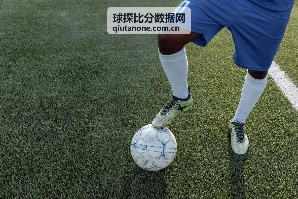 球探比分数据网-球员数据头像